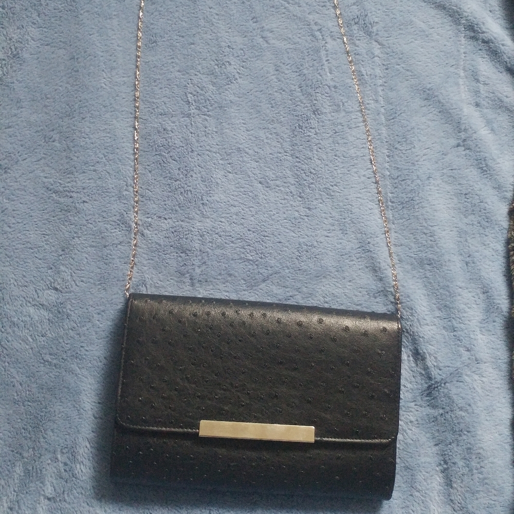 Shoulder/Clutch Bag